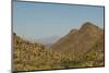 USA, Arizona, Saguaro National Park. Valley in Desert Landscape-Cathy & Gordon Illg-Mounted Photographic Print