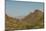 USA, Arizona, Saguaro National Park. Valley in Desert Landscape-Cathy & Gordon Illg-Mounted Photographic Print