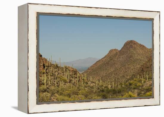 USA, Arizona, Saguaro National Park. Valley in Desert Landscape-Cathy & Gordon Illg-Framed Premier Image Canvas