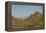 USA, Arizona, Saguaro National Park. Valley in Desert Landscape-Cathy & Gordon Illg-Framed Premier Image Canvas