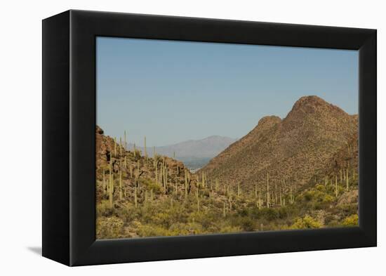 USA, Arizona, Saguaro National Park. Valley in Desert Landscape-Cathy & Gordon Illg-Framed Premier Image Canvas