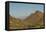 USA, Arizona, Saguaro National Park. Valley in Desert Landscape-Cathy & Gordon Illg-Framed Premier Image Canvas