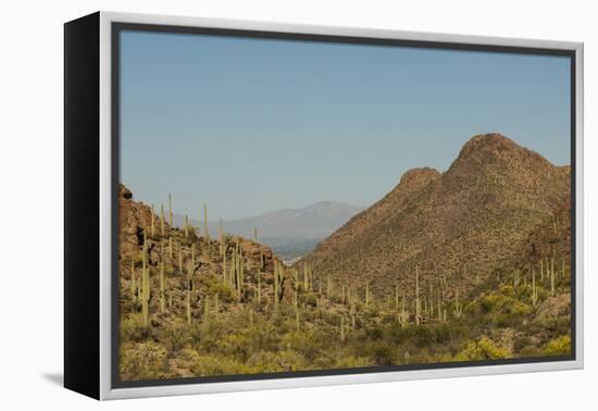 USA, Arizona, Saguaro National Park. Valley in Desert Landscape-Cathy & Gordon Illg-Framed Premier Image Canvas