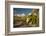 USA, Arizona, Saguaro NP. Close-up of Saguaro Cactus Blossoms-Cathy & Gordon Illg-Framed Photographic Print