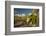 USA, Arizona, Saguaro NP. Close-up of Saguaro Cactus Blossoms-Cathy & Gordon Illg-Framed Photographic Print