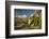 USA, Arizona, Saguaro NP. Close-up of Saguaro Cactus Blossoms-Cathy & Gordon Illg-Framed Photographic Print