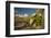 USA, Arizona, Saguaro NP. Close-up of Saguaro Cactus Blossoms-Cathy & Gordon Illg-Framed Photographic Print