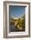 USA, Arizona, Saguaro NP. Close-up of Saguaro Cactus Blossoms-Cathy & Gordon Illg-Framed Photographic Print