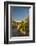 USA, Arizona, Saguaro NP. Close-up of Saguaro Cactus Blossoms-Cathy & Gordon Illg-Framed Photographic Print