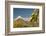 USA, Arizona, Saguaro NP. Close-up of Saguaro Cactus Blossoms-Cathy & Gordon Illg-Framed Photographic Print