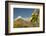 USA, Arizona, Saguaro NP. Close-up of Saguaro Cactus Blossoms-Cathy & Gordon Illg-Framed Photographic Print