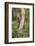 USA, Arizona, Santa Rita Mountains, Arizona, Woodpecker on Tree Trunk-Wendy Kaveney-Framed Photographic Print