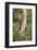 USA, Arizona, Santa Rita Mountains, Arizona, Woodpecker on Tree Trunk-Wendy Kaveney-Framed Photographic Print