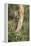 USA, Arizona, Santa Rita Mountains, Arizona, Woodpecker on Tree Trunk-Wendy Kaveney-Framed Premier Image Canvas