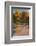 USA, Arizona, Sedona, Cathedral Rock-George Theodore-Framed Photographic Print