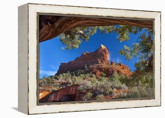 USA, Arizona, Sedona. Juniper Tree Frames Mountain View-Jaynes Gallery-Framed Premier Image Canvas