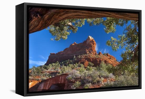 USA, Arizona, Sedona. Juniper Tree Frames Mountain View-Jaynes Gallery-Framed Premier Image Canvas