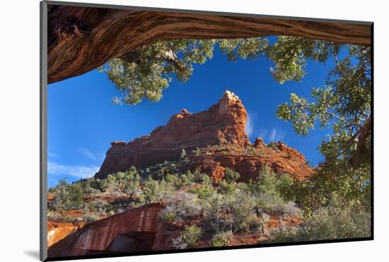 USA, Arizona, Sedona. Juniper Tree Frames Mountain View-Jaynes Gallery-Mounted Photographic Print