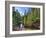 USA, Arizona, Sedona, Oak Creek Canyon, West Fork Trail-Michele Falzone-Framed Photographic Print