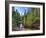 USA, Arizona, Sedona, Oak Creek Canyon, West Fork Trail-Michele Falzone-Framed Photographic Print