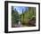 USA, Arizona, Sedona, Oak Creek Canyon, West Fork Trail-Michele Falzone-Framed Photographic Print