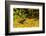 USA, Arizona, Sonoran Desert. Clark's Spiny Lizard Close-up-Cathy & Gordon Illg-Framed Photographic Print