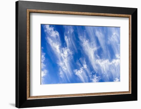 USA, Arizona, Sonoran Desert. Morning cloud formations.-Jaynes Gallery-Framed Photographic Print