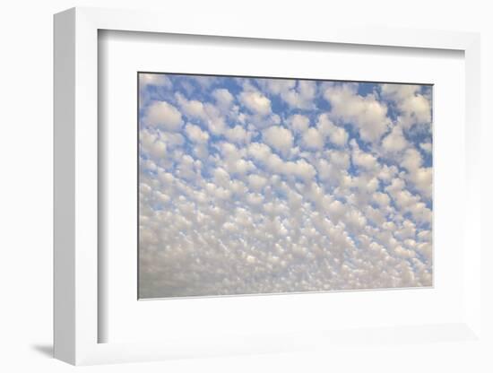 USA, Arizona, Sonoran Desert. Morning cloud formations.-Jaynes Gallery-Framed Photographic Print