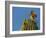 USA, Arizona, Sonoran Desert. Pyrrhuloxia Bird Lands on Saguaro Buds-Cathy & Gordon Illg-Framed Photographic Print