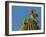 USA, Arizona, Sonoran Desert. Pyrrhuloxia Bird Lands on Saguaro Buds-Cathy & Gordon Illg-Framed Photographic Print