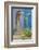 USA, Arizona, Tucson, Blue House-Hollice Looney-Framed Photographic Print