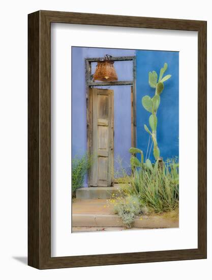 USA, Arizona, Tucson, Blue House-Hollice Looney-Framed Photographic Print