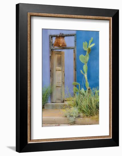 USA, Arizona, Tucson, Blue House-Hollice Looney-Framed Photographic Print