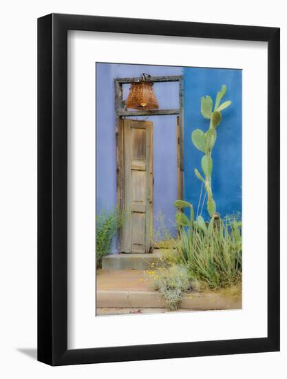 USA, Arizona, Tucson, Blue House-Hollice Looney-Framed Photographic Print