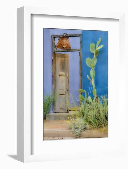 USA, Arizona, Tucson, Blue House-Hollice Looney-Framed Photographic Print