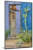 USA, Arizona, Tucson, Blue House-Hollice Looney-Mounted Photographic Print