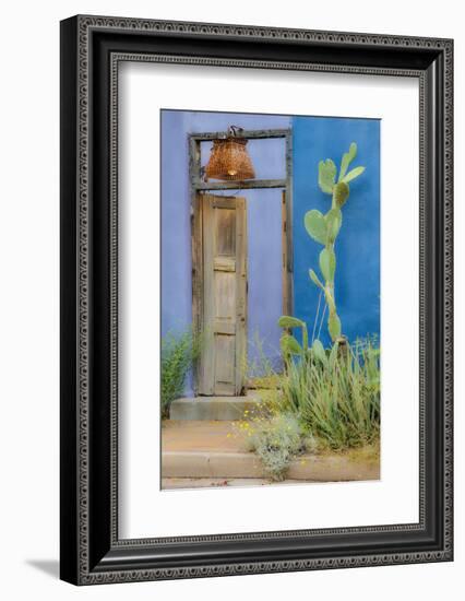 USA, Arizona, Tucson, Blue House-Hollice Looney-Framed Photographic Print