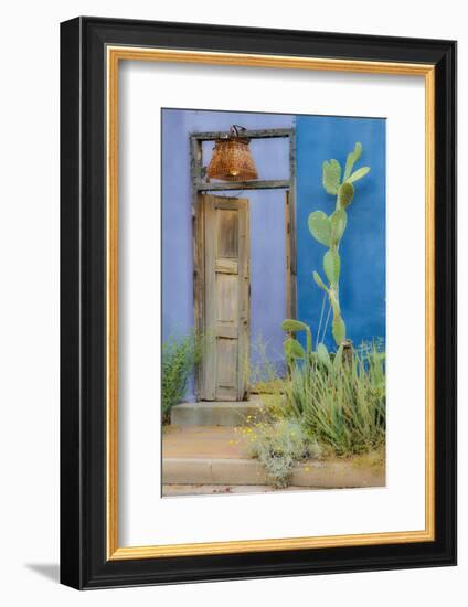 USA, Arizona, Tucson, Blue House-Hollice Looney-Framed Photographic Print