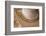 USA, Arizona, Tucson. Close-up of Cowboy Hat-Don Paulson-Framed Photographic Print