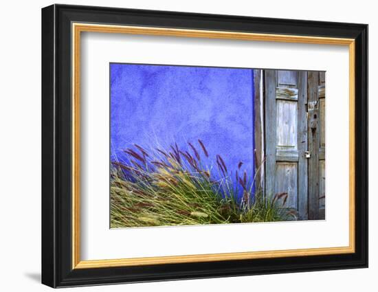 USA, Arizona, Tucson. Colorful wall and weathered door.-Jaynes Gallery-Framed Photographic Print