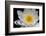 USA, Arizona, Tucson, Cricket Head Inn, Water Lilly-Peter Hawkins-Framed Photographic Print