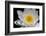 USA, Arizona, Tucson, Cricket Head Inn, Water Lilly-Peter Hawkins-Framed Photographic Print