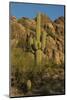 Usa, Arizona, Tucson Mountain Park, Little Cat Mountain-Peter Hawkins-Mounted Photographic Print