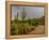 USA, Arizona, Tucson, Saguaro National Park West, Lightning-Peter Hawkins-Framed Premier Image Canvas