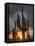 USA, Arizona, Tucson, Saguaro National Park-Michele Falzone-Framed Premier Image Canvas