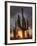 USA, Arizona, Tucson, Saguaro National Park-Michele Falzone-Framed Photographic Print