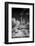 USA, Arizona, Tucson, Saguaro National Park-Peter Hawkins-Framed Photographic Print