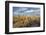 USA, Arizona, Tucson, Saguaro National Park-Peter Hawkins-Framed Photographic Print