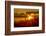 USA, Arizona, Tucson, Saguaro National Park-Peter Hawkins-Framed Photographic Print