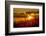 USA, Arizona, Tucson, Saguaro National Park-Peter Hawkins-Framed Photographic Print